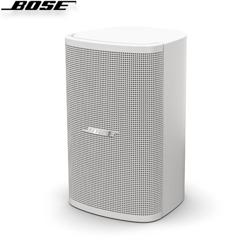 Loa Bose DesignMax DM2S 2